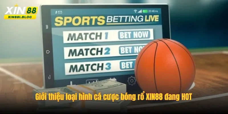 Cá cược bóng rổ XIN88