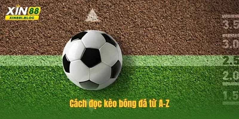 cách đọc kèo bóng đá
