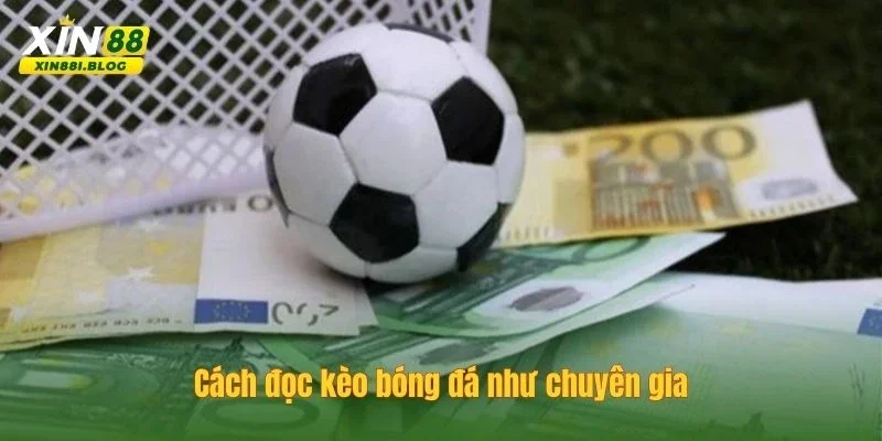 cách đọc kèo bóng đá