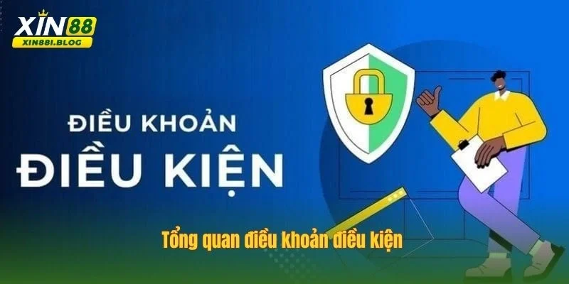 điều khoản điều kiện