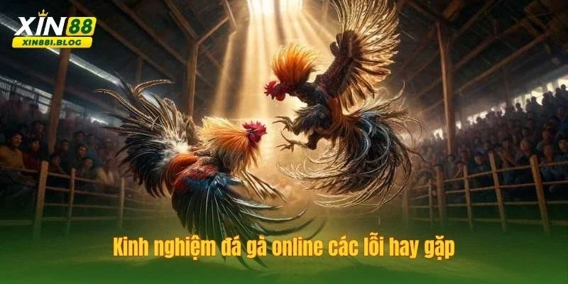 kinh nghiệm đá gà online