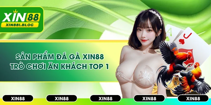 Đá gà trực tiếp giúp nhà cái thu hút người chơi